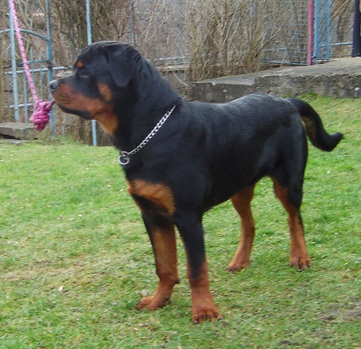 IMGP0217.JPG