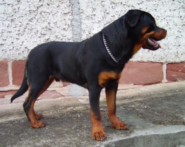 IMGP0230.JPG