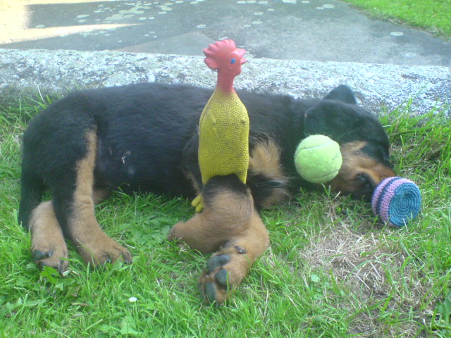 DSC00286.JPG