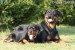 Holly a Ashly 3.jpg